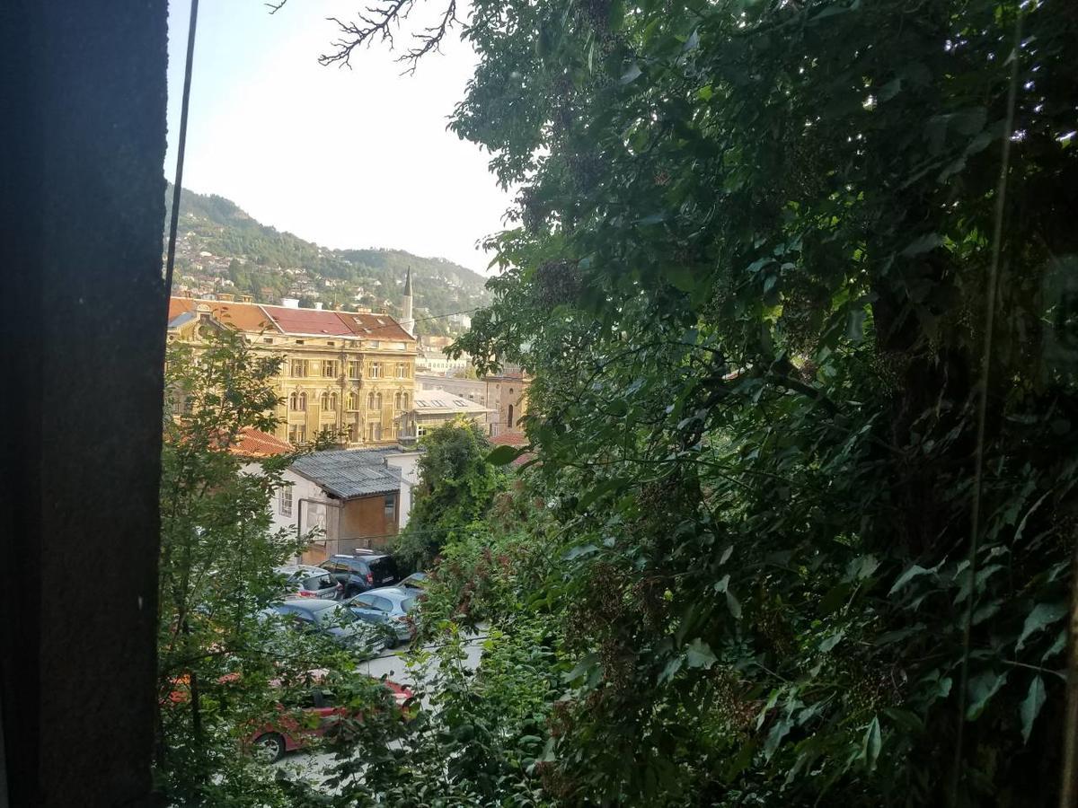 Curovac View Hotell SJJ Exteriör bild
